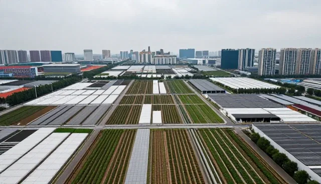 ERP系统实施中性能与适用条件的取舍分析